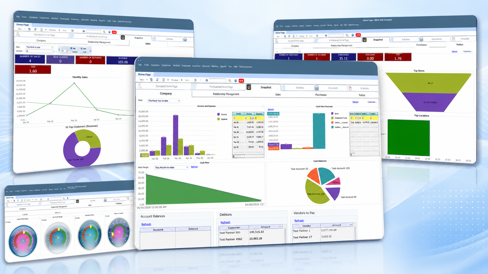Business software dashboard preview with charts, summaries, balances, and reporting views